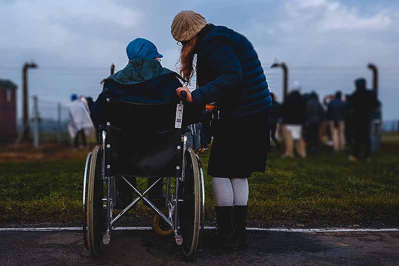 Picture of a carer standing with a person sitting in a wheelchair looking at some cows