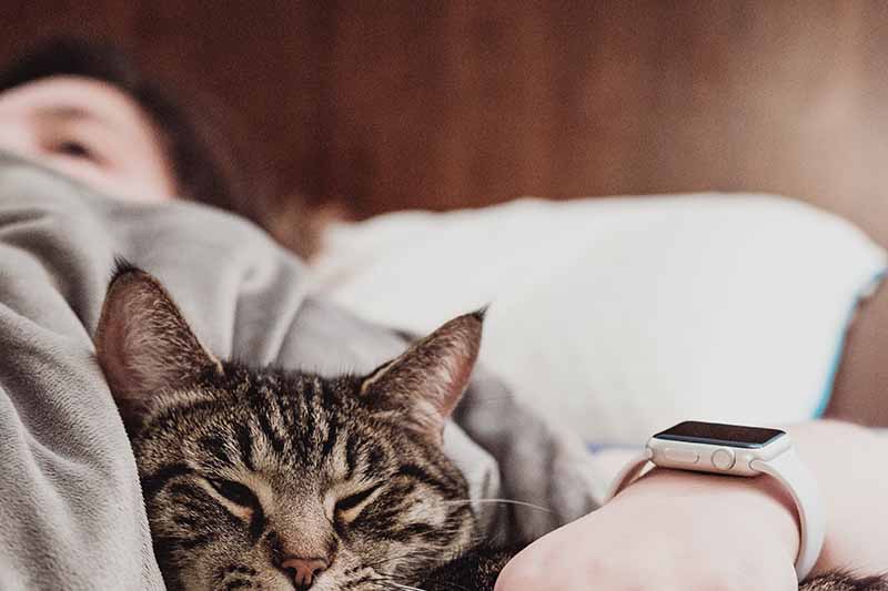 Picture of lady lying in a bed with her cat