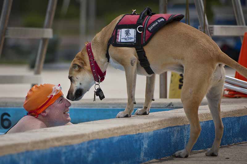 Picture of visually ipaired swimmer at the size of a pool talking to her guide dog