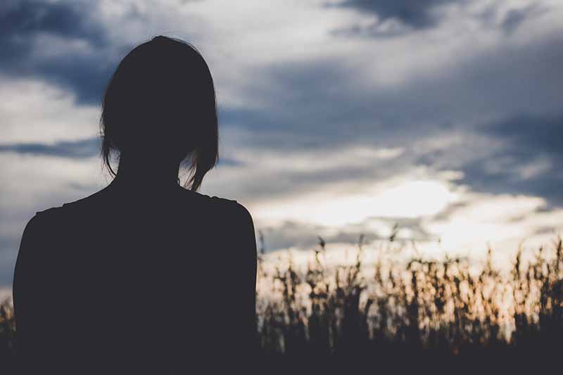 Picture of young lady in cornfield looking at sunset